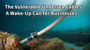 The Vulnerable Undersea Cables